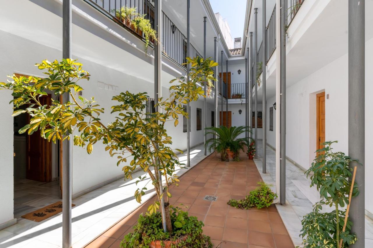 Apartamento Con Garaje, Centro De Sevilla 外观 照片